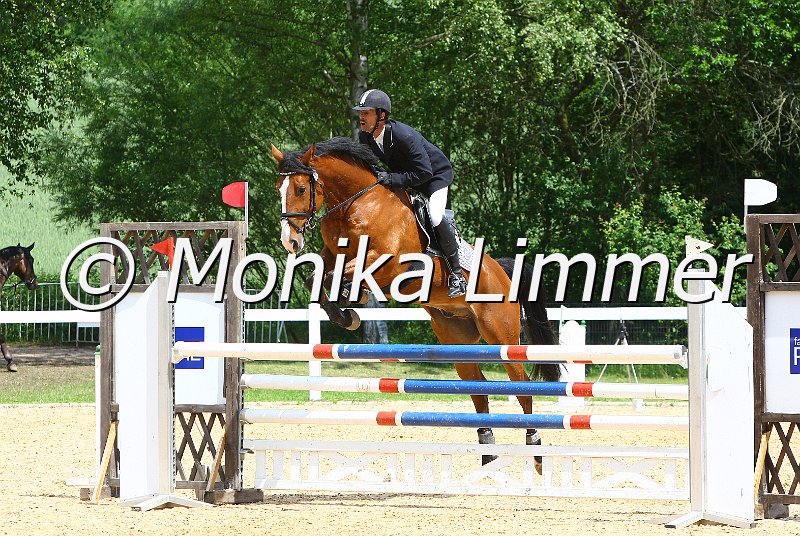 006M7242_Spring L_Lorenzo_e.JPG